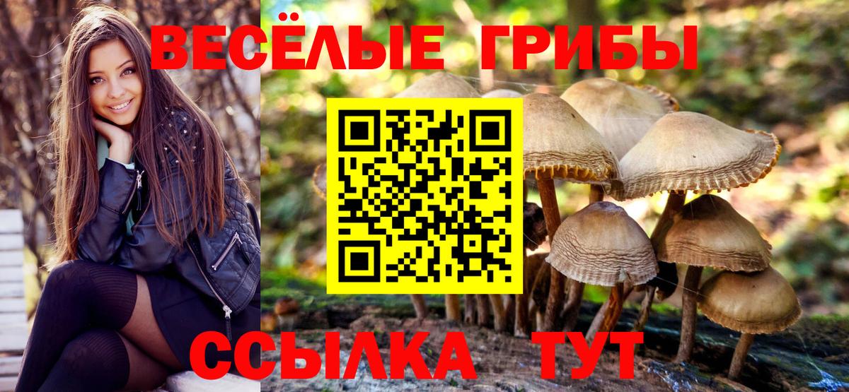 Галлюциногенные грибы Magic Shrooms Кудрово